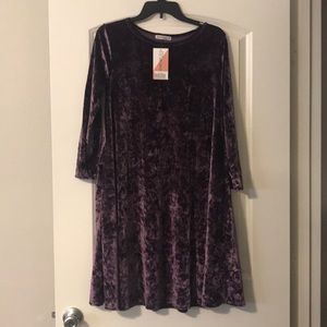 BNWT Purple Crush velvet 3/4 sleeve Brea Dress